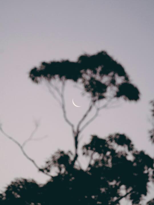 可以交换一张你相册里的月亮吗🌙