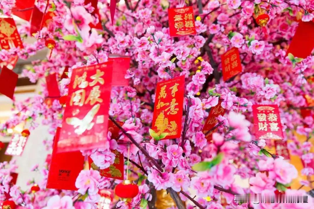 迎春花市，美食，表演节目来了。
1月30日到2月15日，坪山坑梓影剧院广场有花市