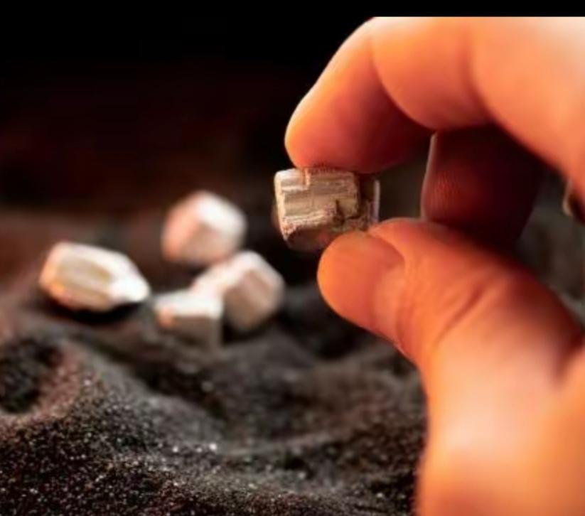 美财长死鸭子嘴硬
美国财长贝森特打嘴炮：两年内替代中国稀土，明年不再被动，中国停