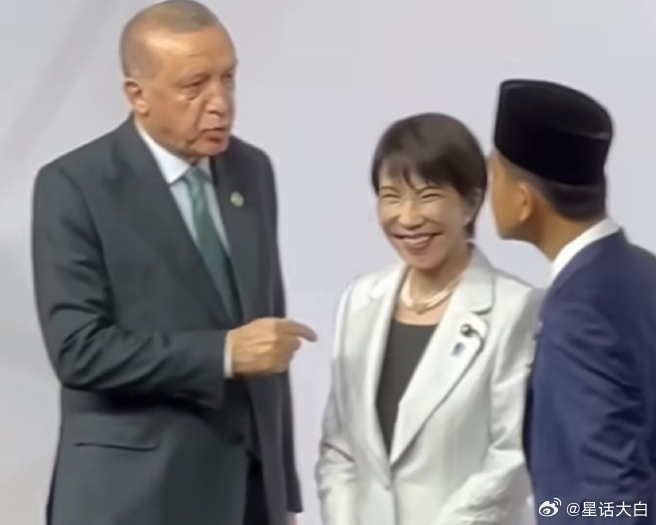 高市早苗整天搞媚态外交、碰瓷外交，人埃尔多安和印尼副总统交谈，结果高市早苗就杵在