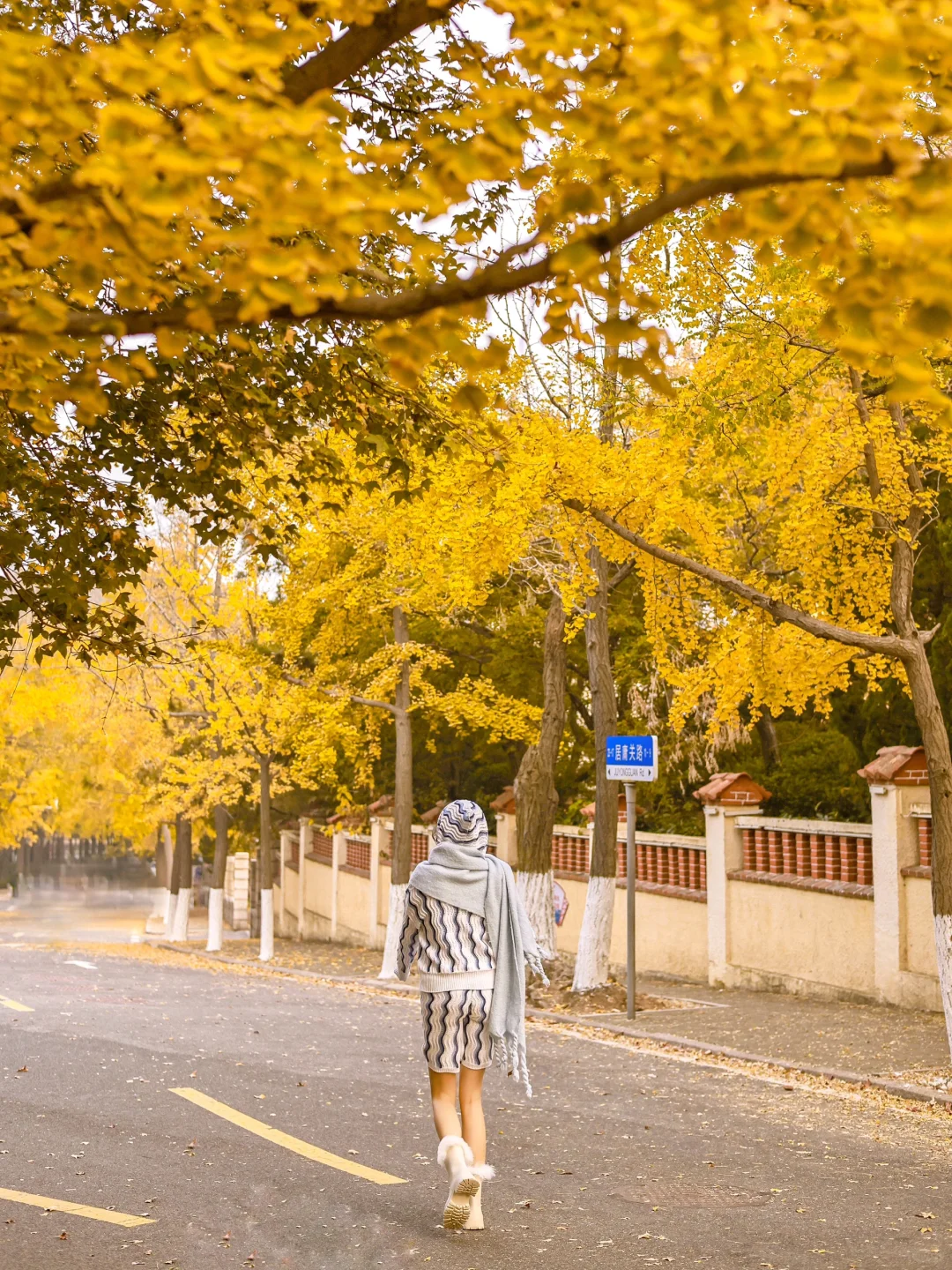 接下来的青岛，堪称国内秋日旅行天花板‼️