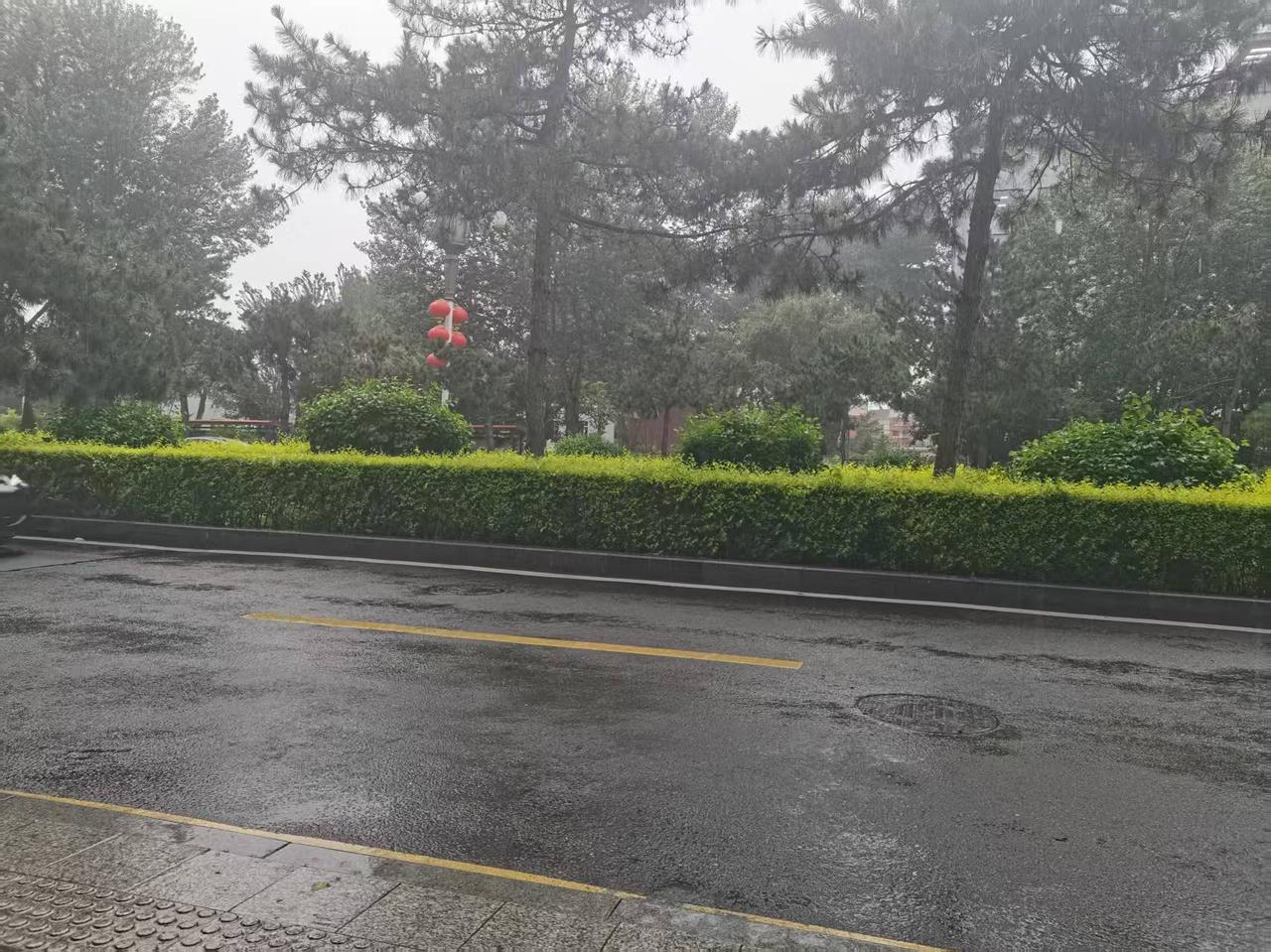 今天番茄和头条都发工资，一个是三位数，一个是两位数。

番茄自从执行刷脸之后，这