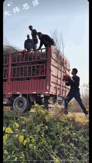 专家惊呆了！
这种操作，
一般需要研究三个月！