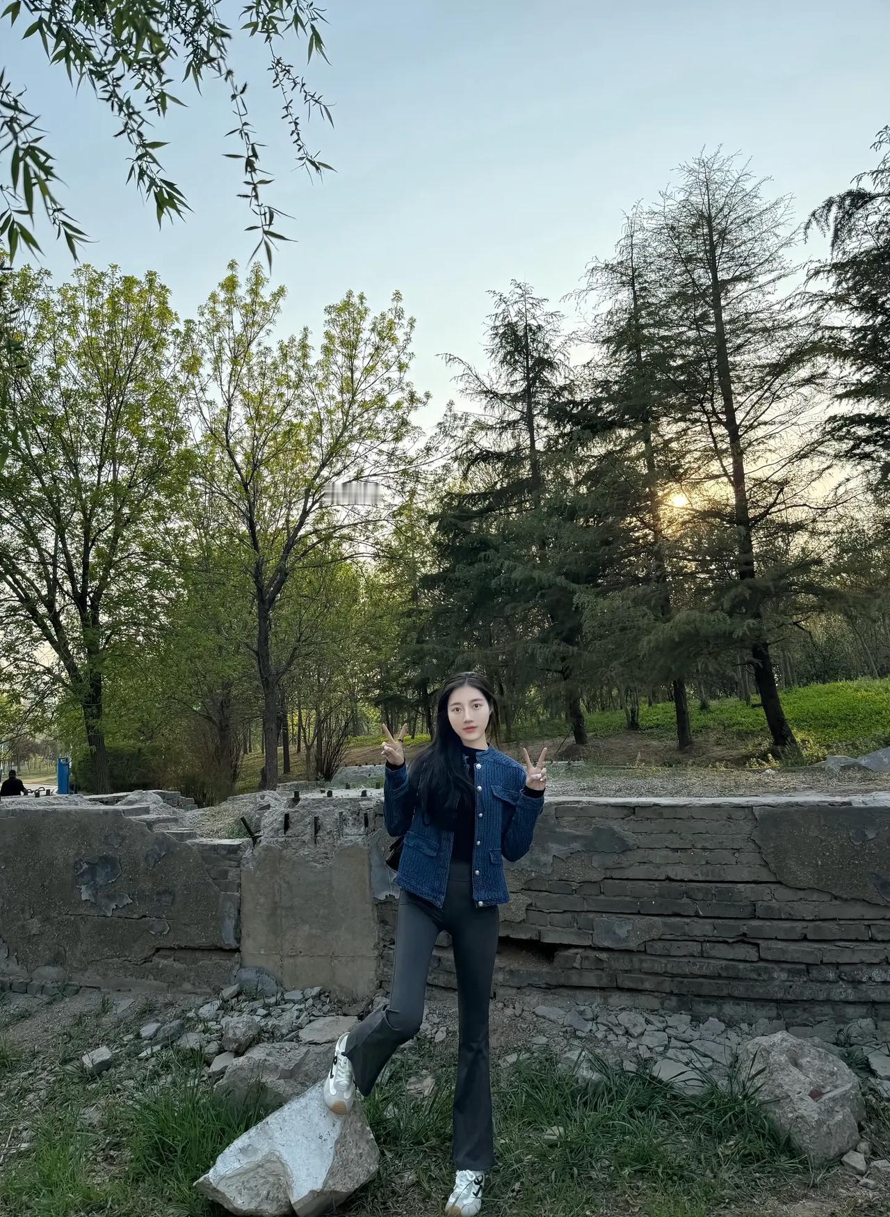 竹林深处，春意盎然。