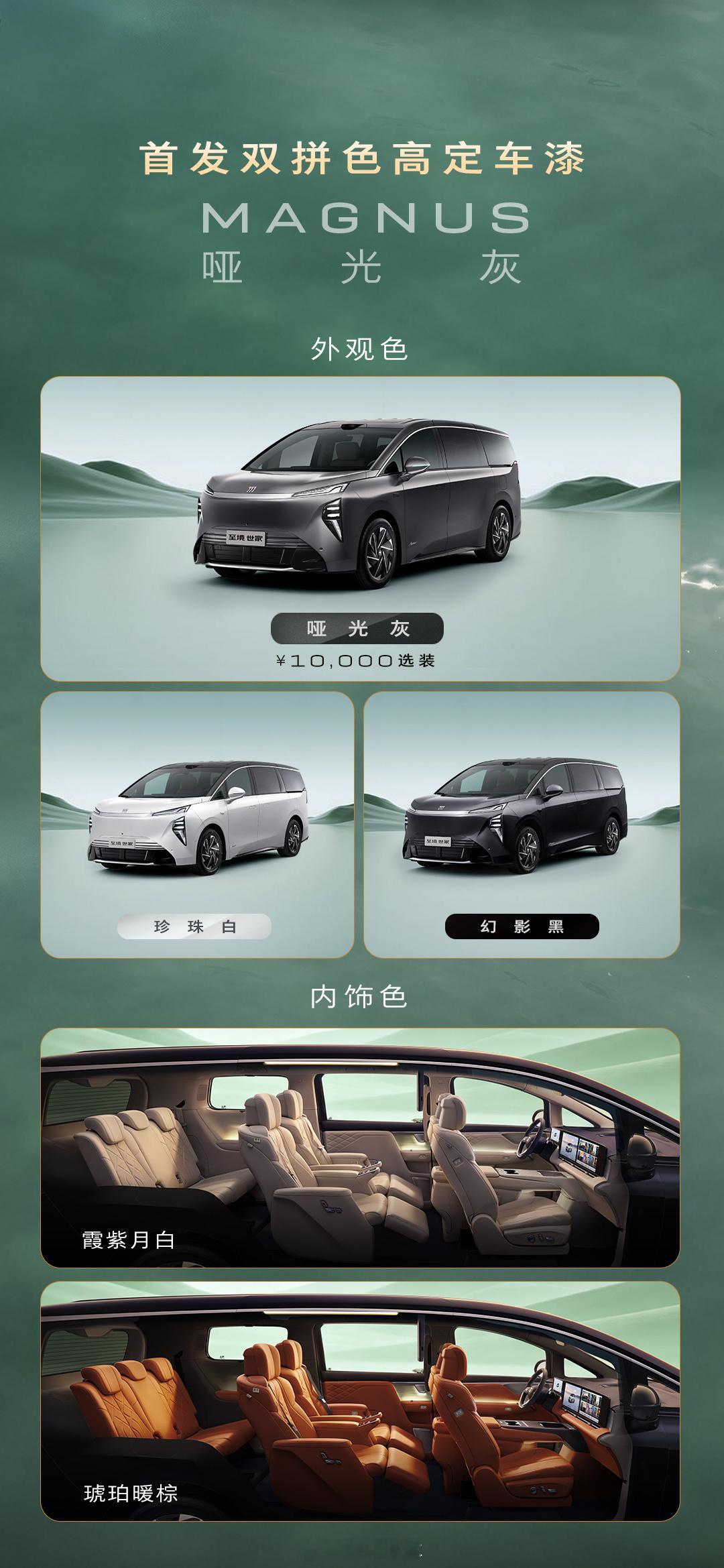 至境世家纯电版  全新上市纯电奢享版48.99万元最安全的纯电豪华MPV最重磅的