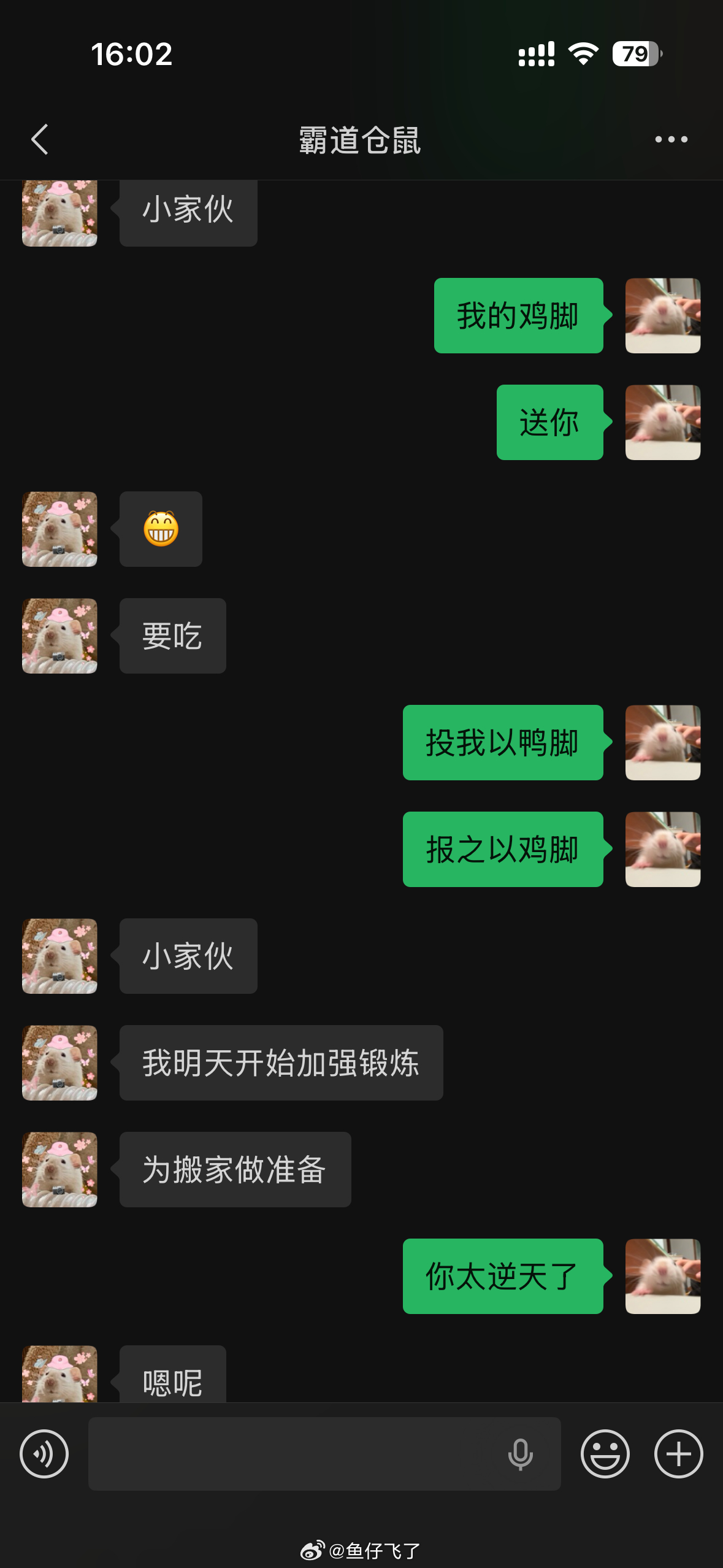 我和朵朵恋爱风格就这样……（我们又要搬家了，这次搬大豪斯了，跟我妹合租） 