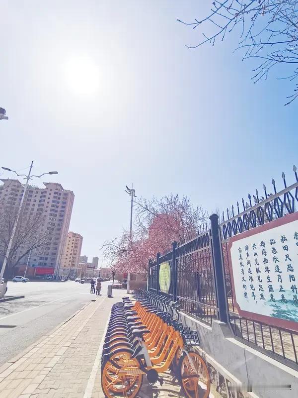 春日生活打卡季 春天真是个神奇的季节，它悄无声息地就改变了世界。玉兰绽放第一朵洁