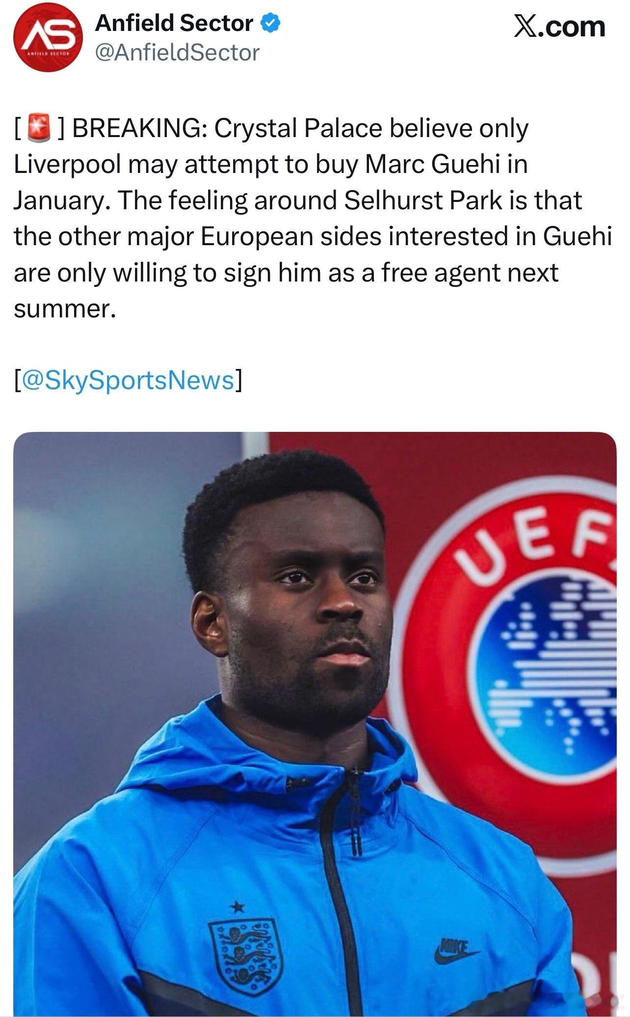 天空体育透露水晶宫相信只有利物浦才有可能在一月份会尝试引进格伊，水晶宫内部的感觉