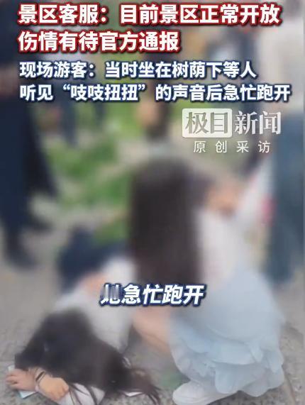 【开封万岁山树干断落砸伤3名游客，景区客服：已有人员对接，目前景区正常开放，伤情