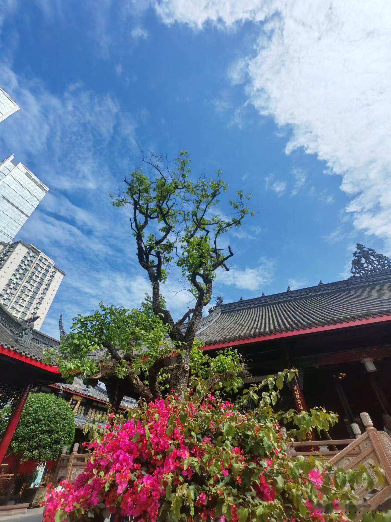 命里有时终须有，命里无时莫强求

去年我们这边一个女的生了三胎都是女孩，拼四胎是