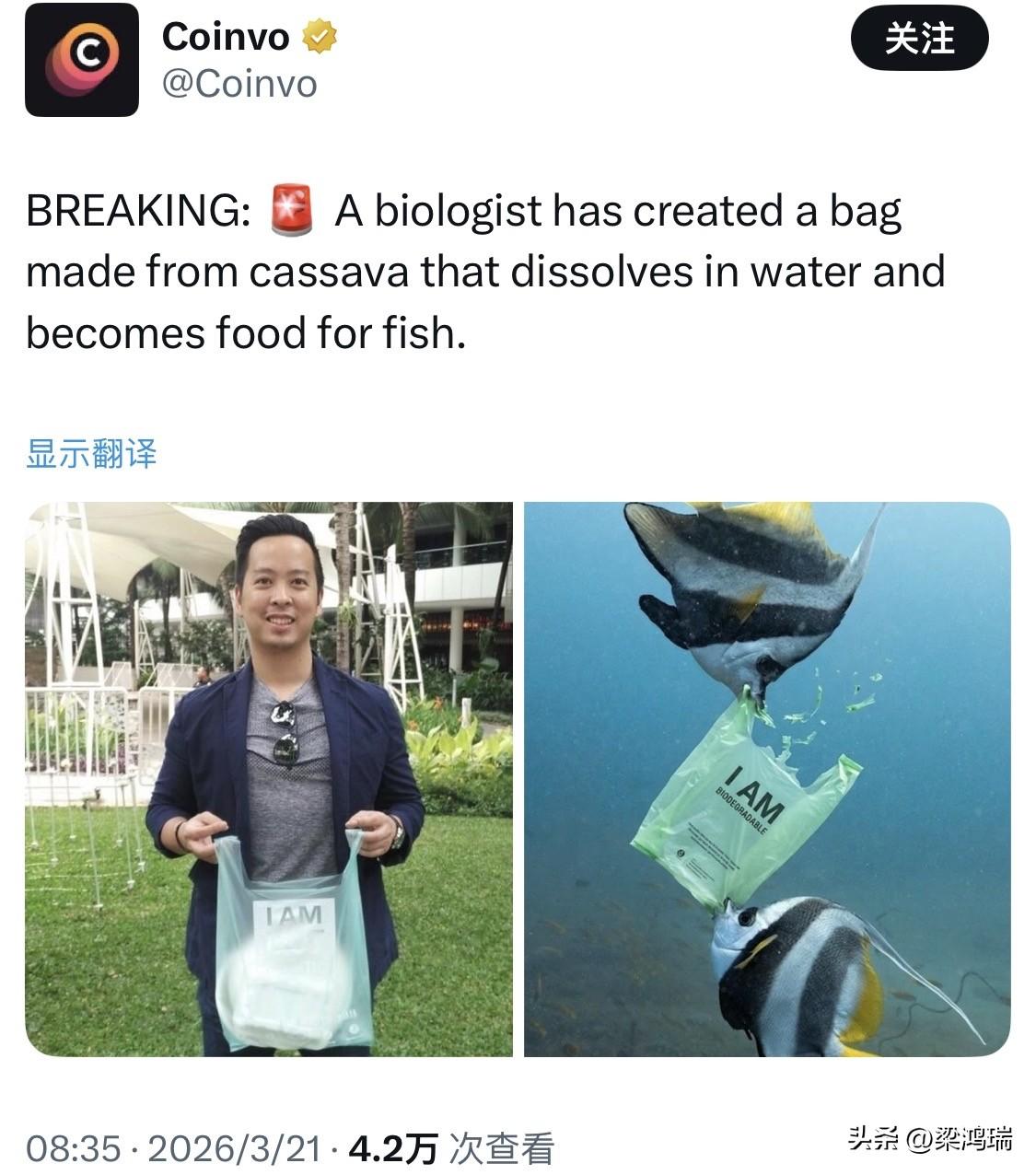 突发新闻： 一位日本生物学家发明了一种用木薯制成的袋子，这种袋子溶于水后可以成为