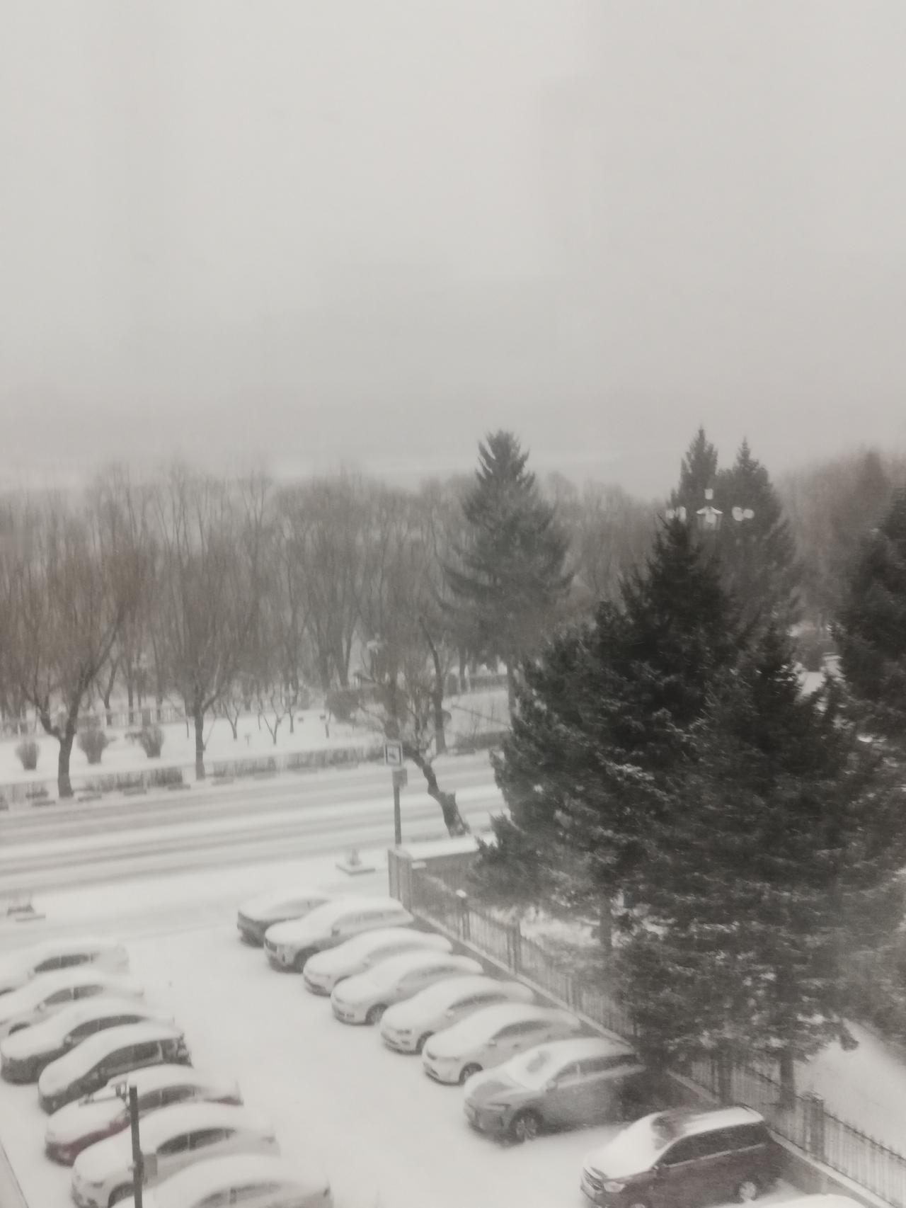 坐标吉林市，3月18日清晨，一场大雪如约而至。在春天赏雪景，感觉还挺不错！
晨起