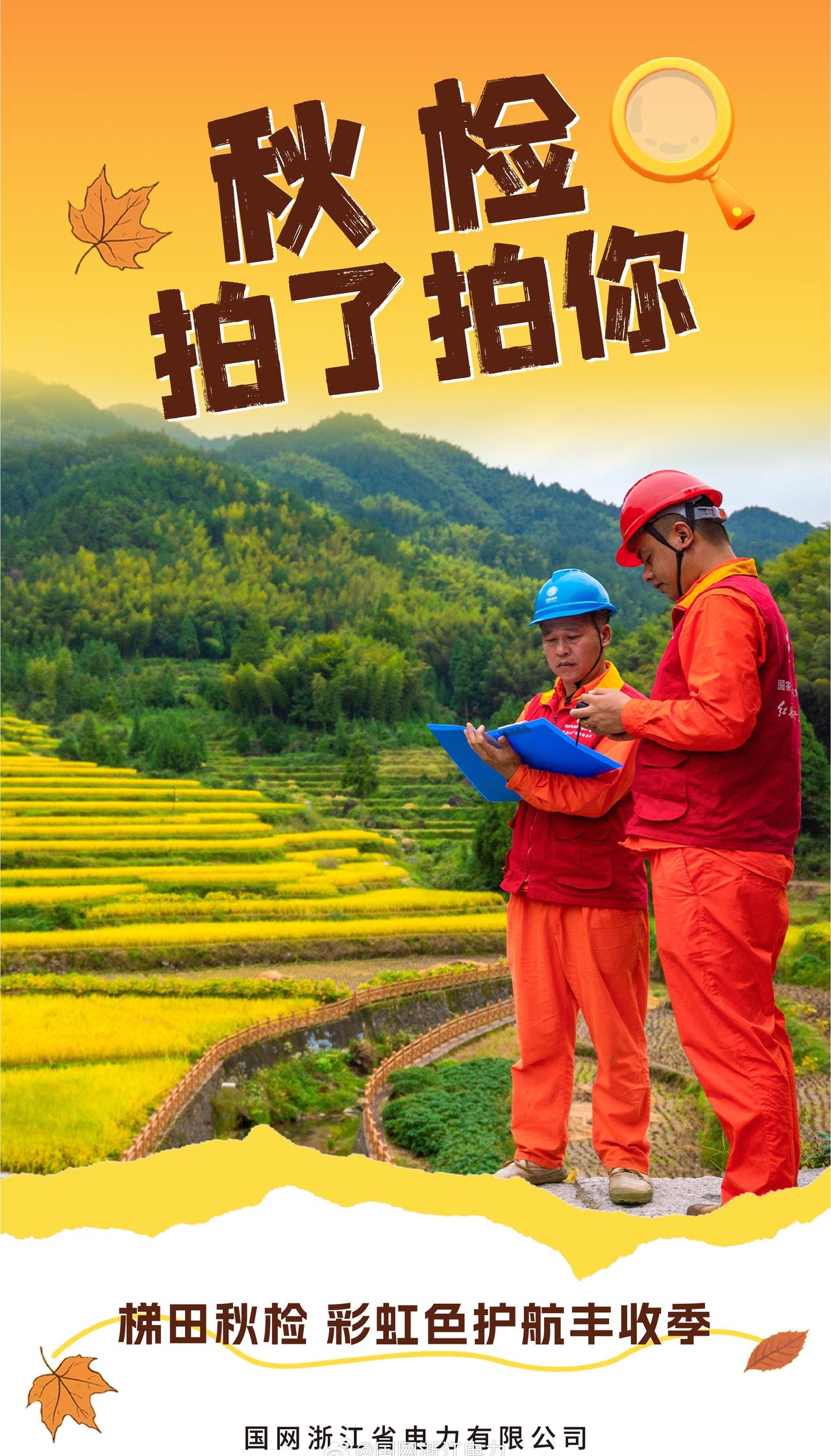 彩虹色护航丰收季】秋日的景宁县梯田畔，金色稻浪随风起伏，银线沿山脊蜿蜒，勾勒出绵
