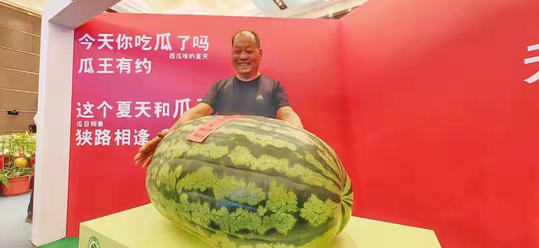 120 斤的瓜王，最后拍了 617 元。
同一时间，上海一颗苹果卖到 293 元