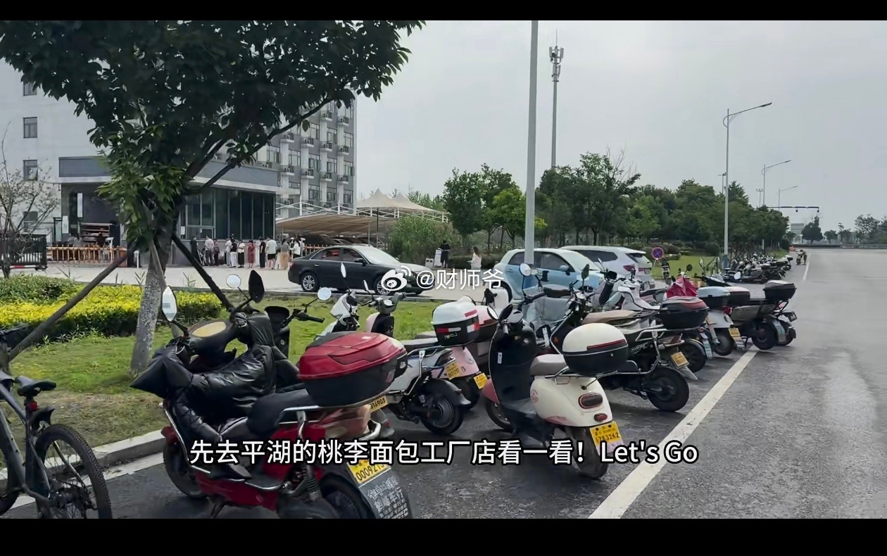 有视频博主在【桃李面包】平湖工厂门口买到了非常便宜的面包，仅售3.5一袋。每天早