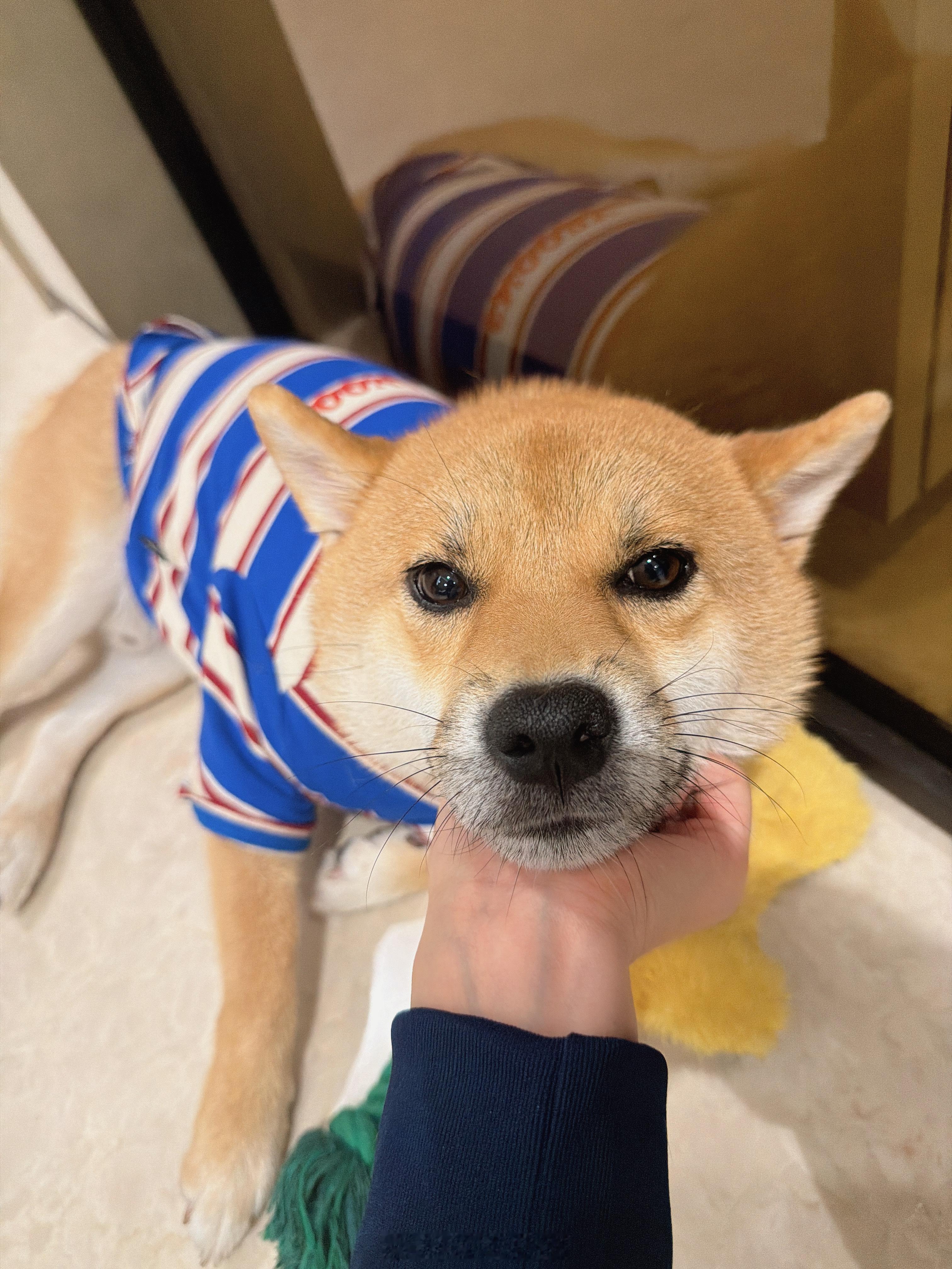 哈哈像情侣头像 ​​​