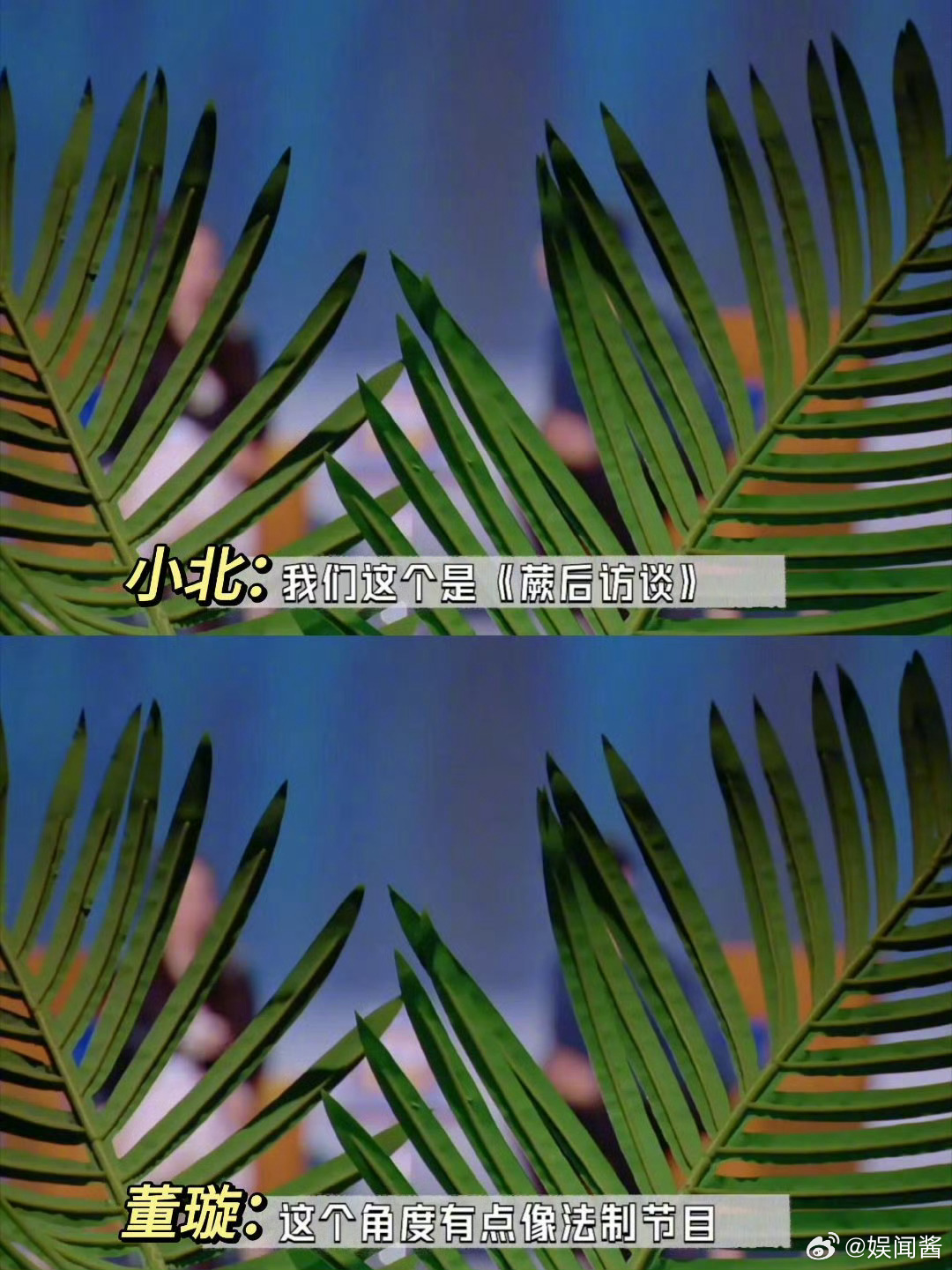 内娱终于有不按剧本走的综艺了董璇和小北这段我直接爆笑了这种不按剧本走、专挖扎心问