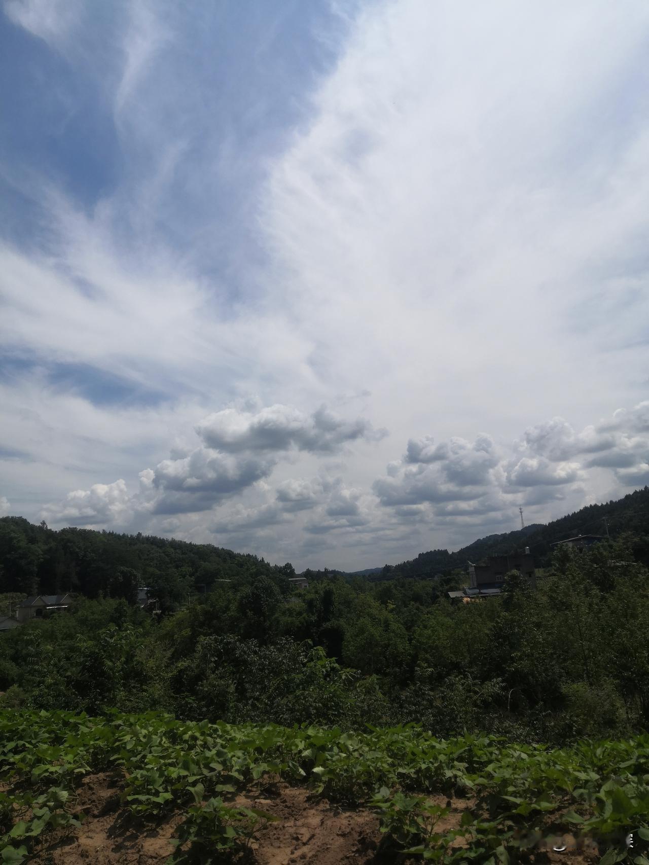 天空上的云彩
成都市农村的天空上，发现有很多的云朵，今天是立秋，金堂农村大地上看