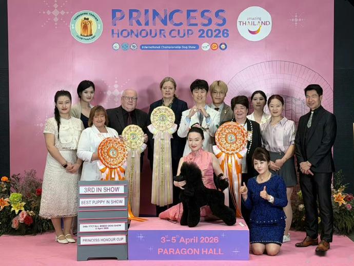 霍思燕的蒙古獒又夺冠了 霍思燕带着蒙古獒参加FCI国际犬业联盟CKU国秀。最终，