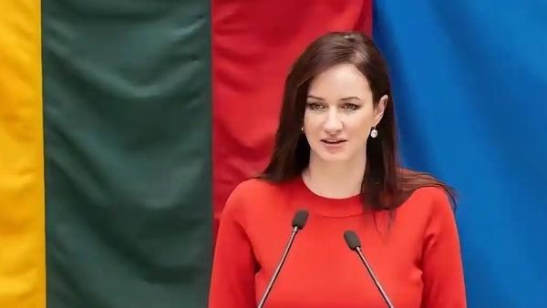 2月3日，立陶宛新总理鲁吉涅内承认，当年允许台当局设立所谓“台湾代表处”是“吃了