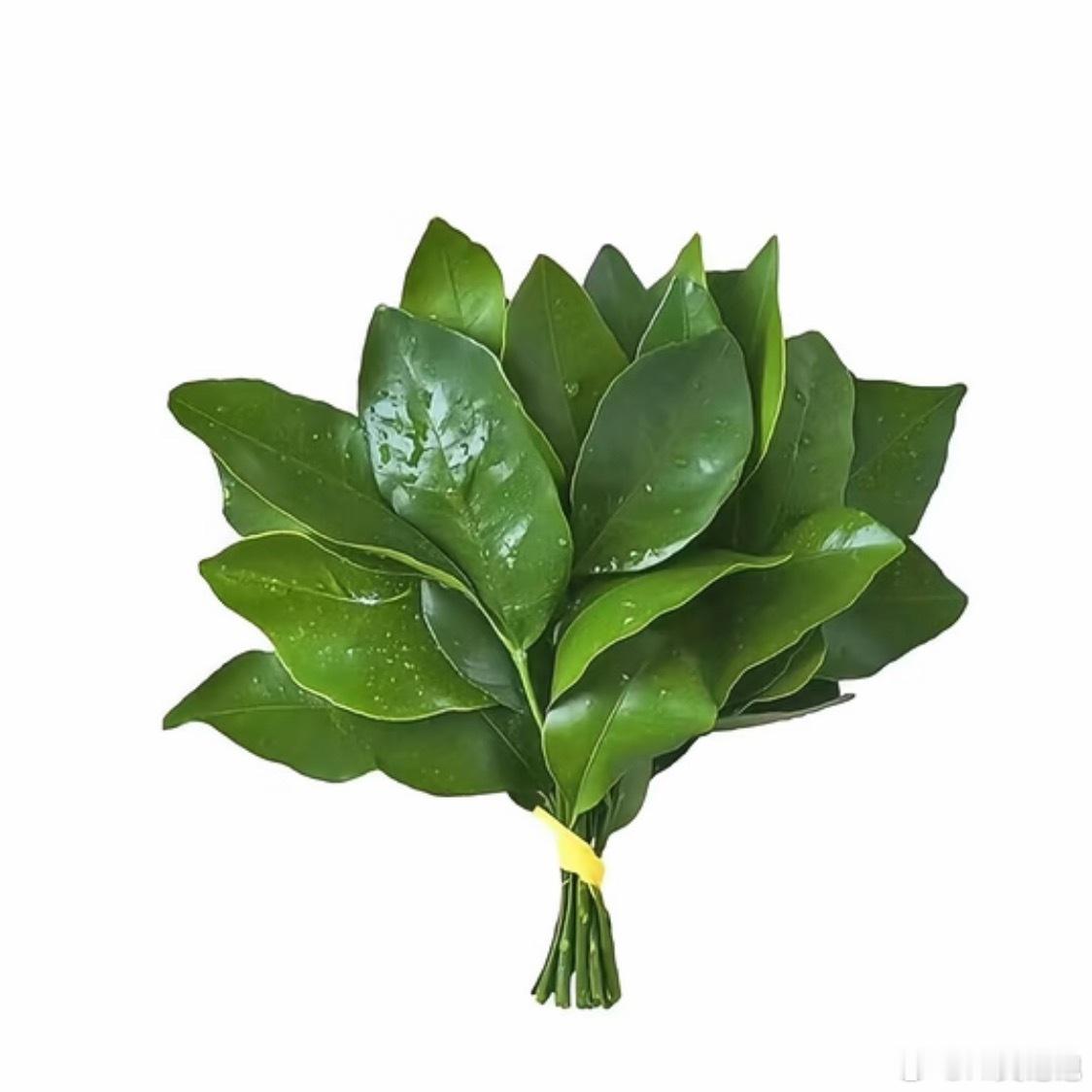 尚界汽车报案2网友造谣尚界被处罚5月19日，尚界汽车法务部 发文称：近期，我们就
