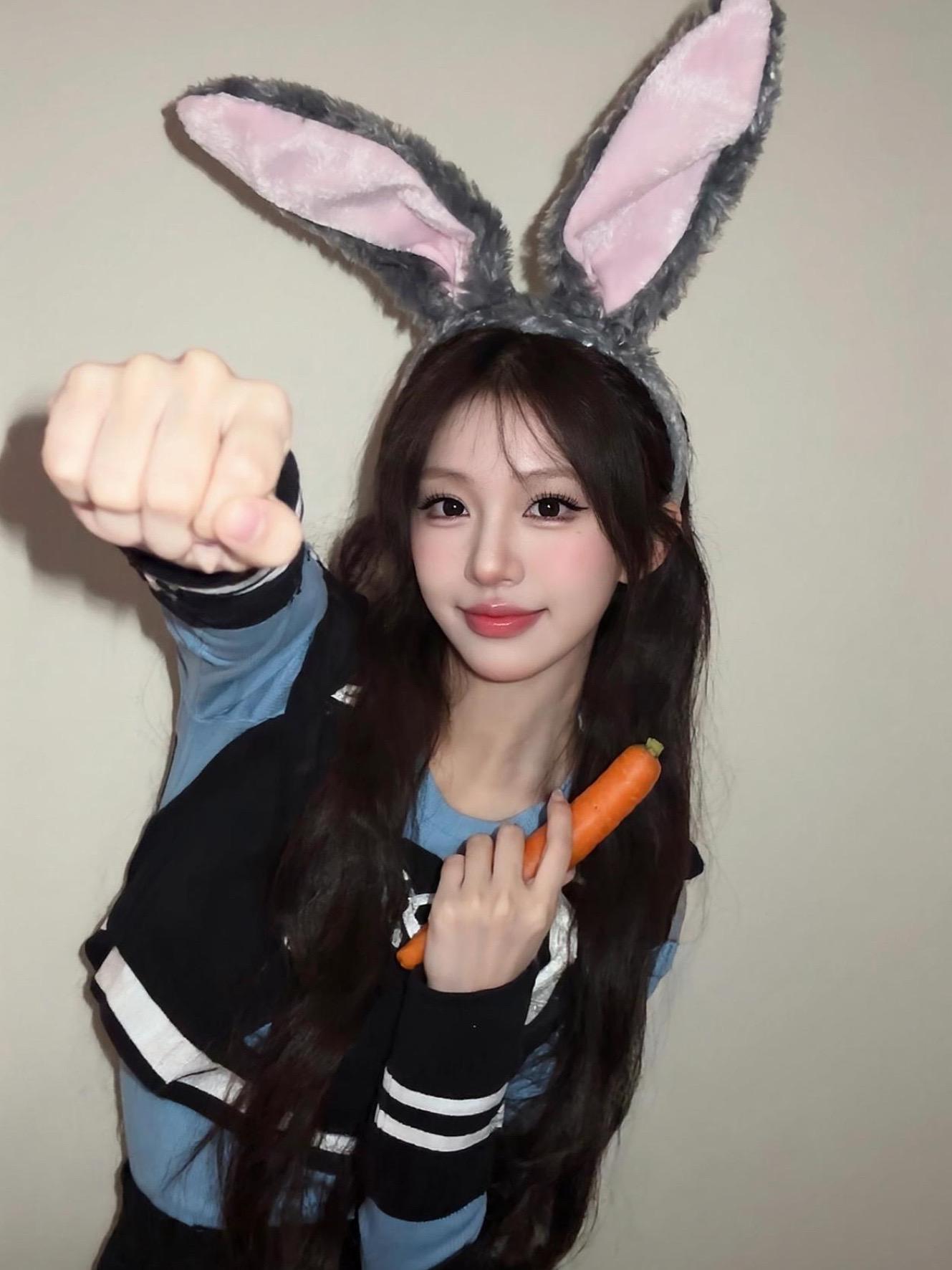 尼克狐尼克 你被捕了！