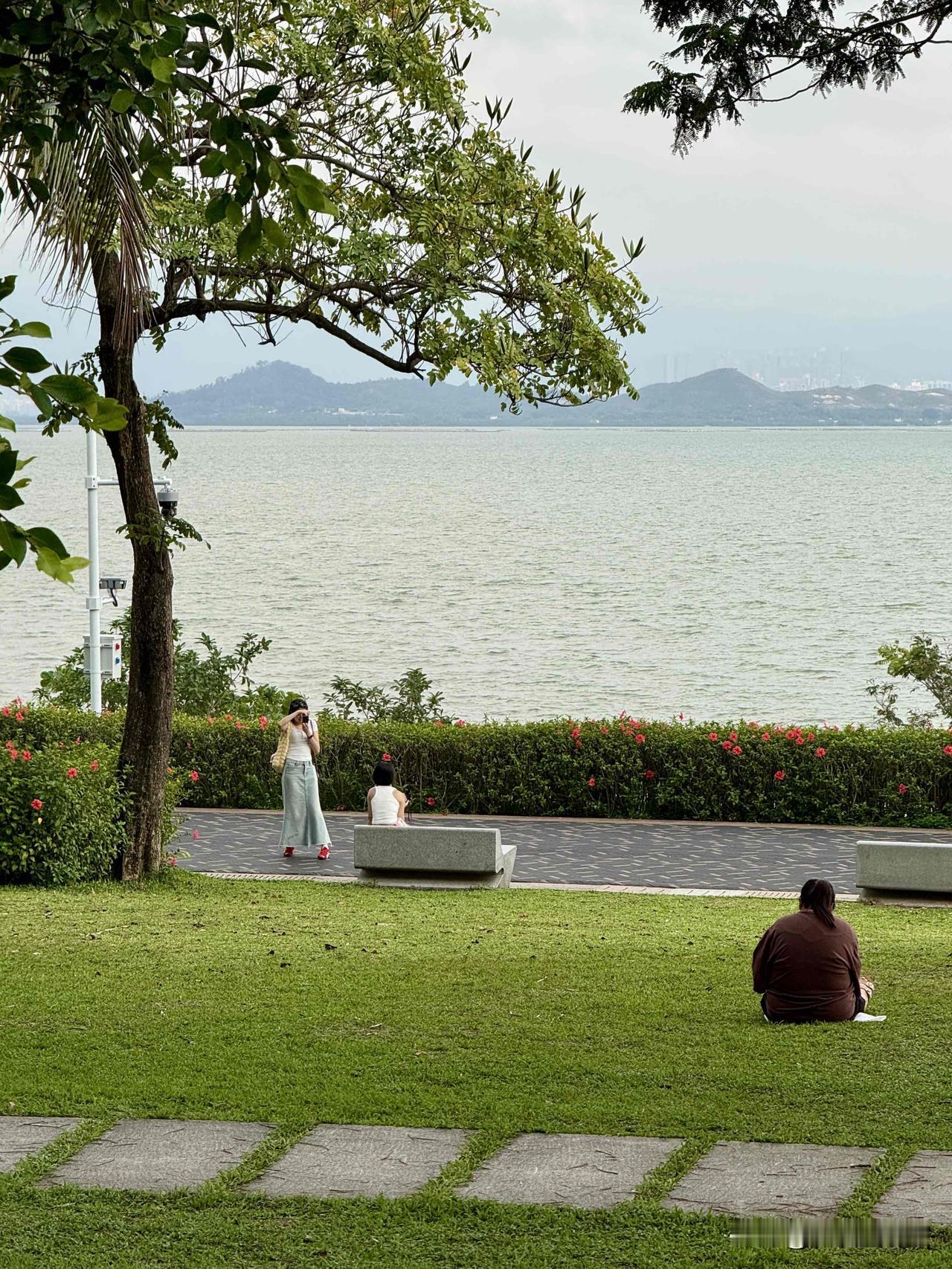 深圳湾白鹿坡简直是个宝藏打卡地！这里绿草如茵，视野超棒，能将深圳湾的美景尽收眼底