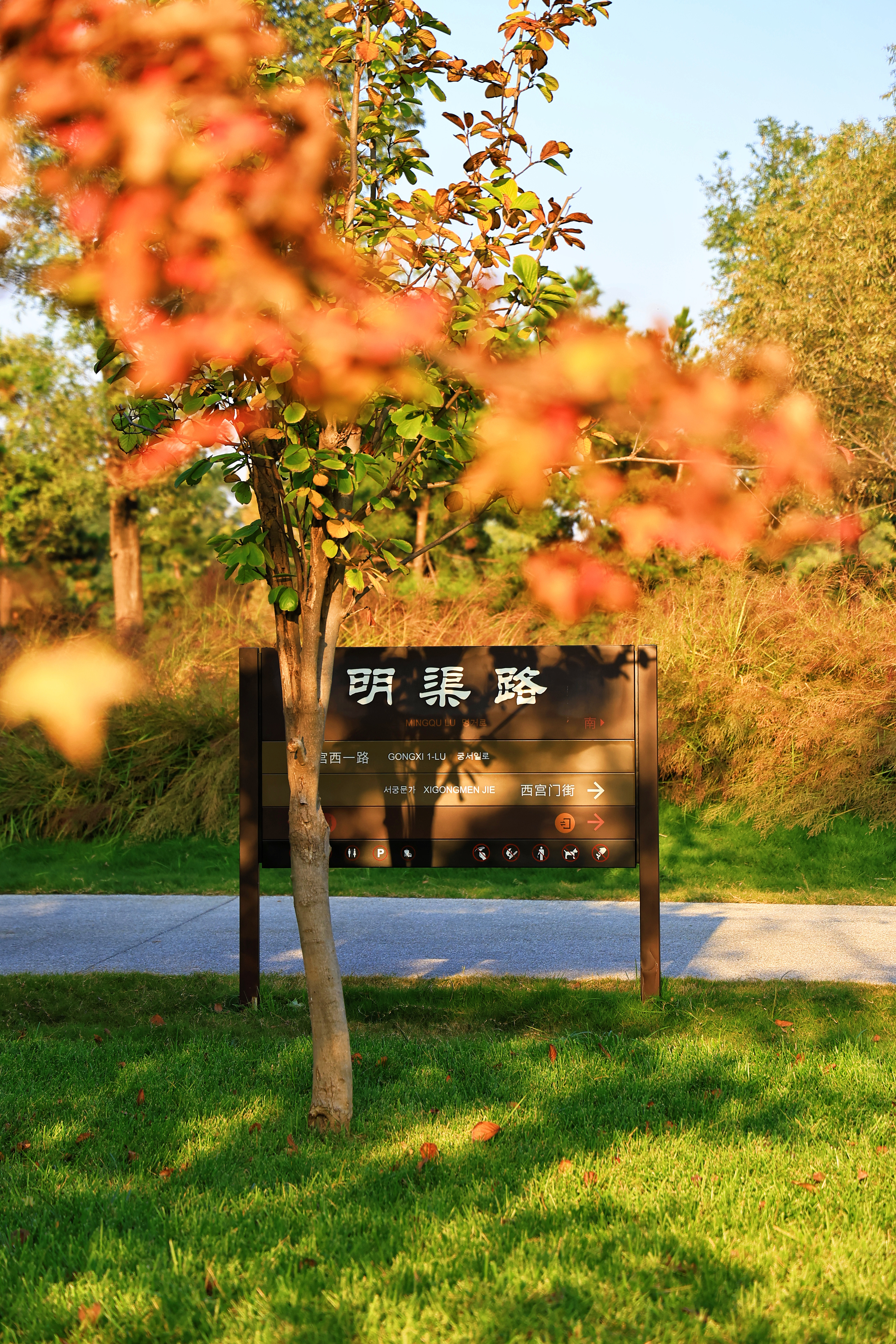 #探源千年文脉 共瞰丝路新篇#🎇 未央宫国家遗址公园的四季美如画。春如苏醒巨人
