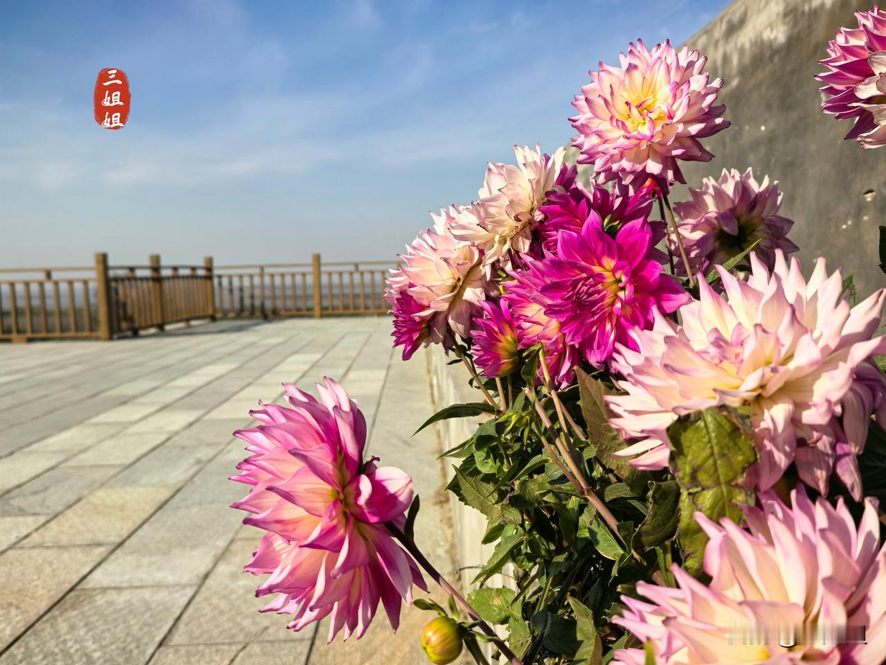 宿黄河之上民宿，赏黄河生态美景，尝野生黄河大鲤鱼。
从郑州开车走沿黄快速路直达九