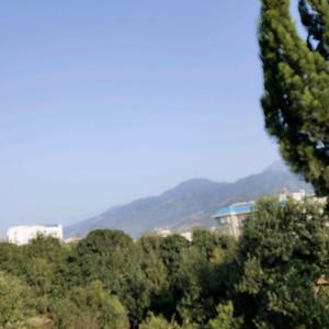 古镇中悠闲漫步