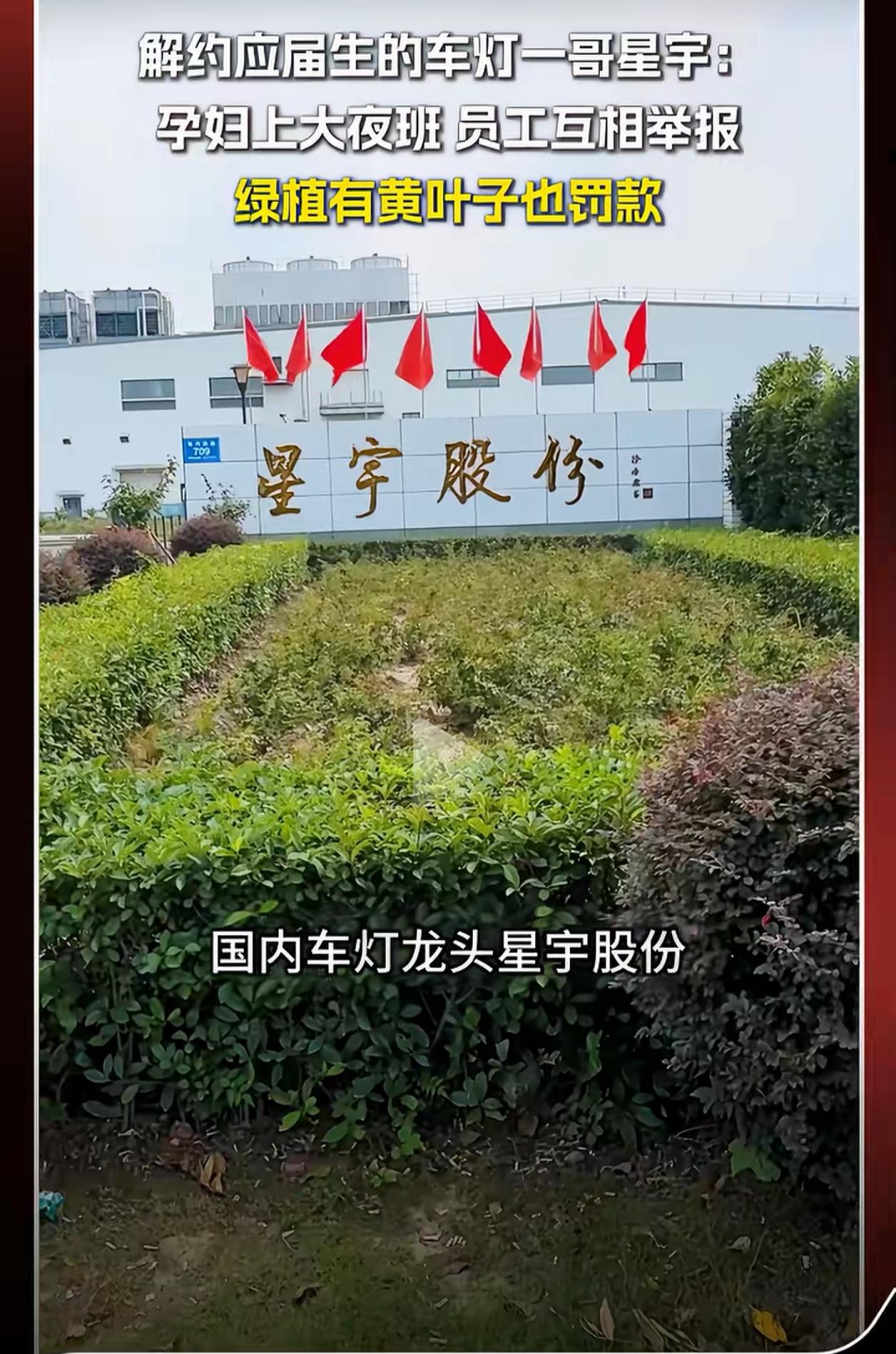 应届生维权绕道欧盟：星宇股份的霸权又体现出了国内某些部门的不作为？
 
近日，星