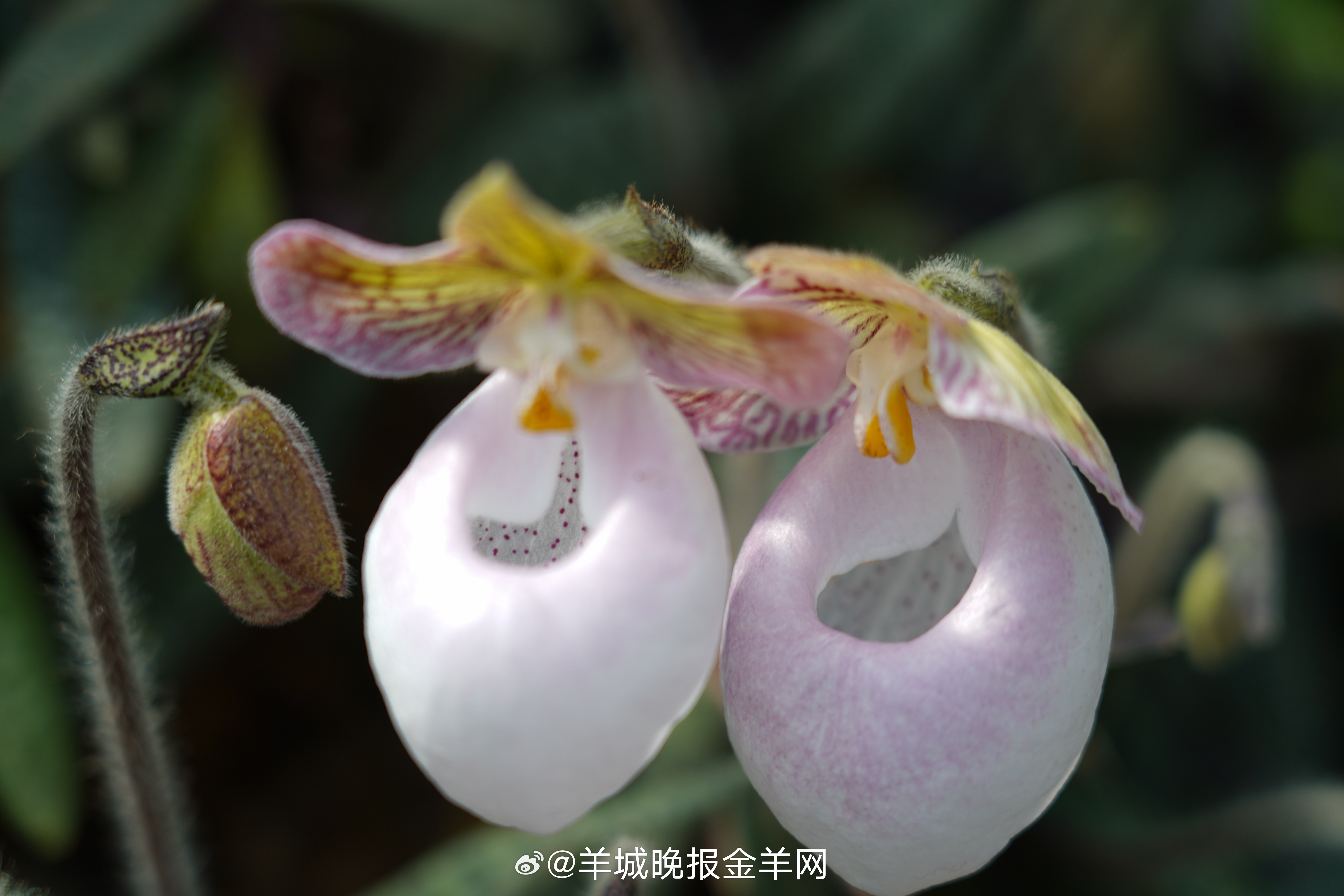 #晚安#专注打磨自己的生活，用更多心力，去经营自己的热爱，去奔赴自己的山海。 