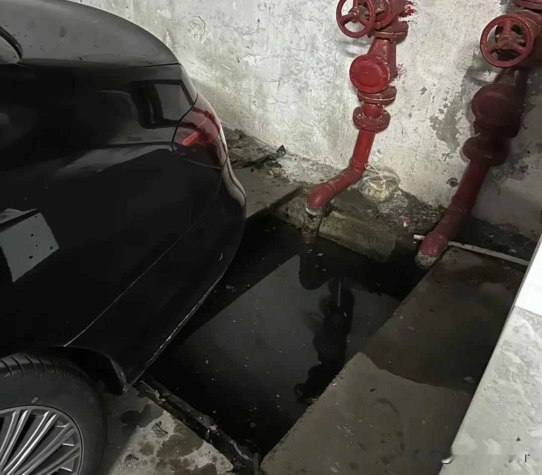 10月31日，江苏，一名女子在公司停车场拿东西的时候，不慎失足掉进车后面的臭水池