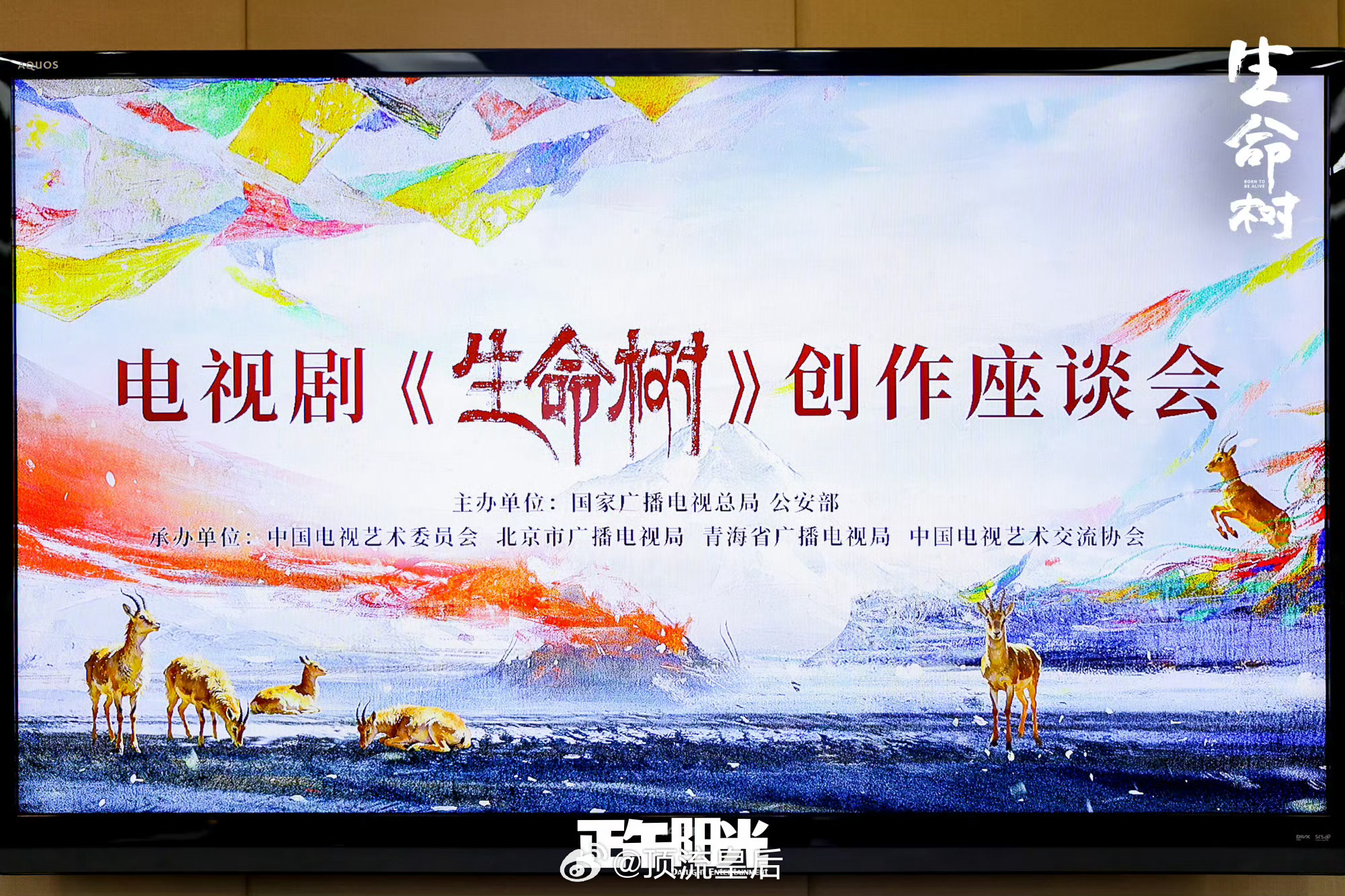 从生命树到家业，部部开创作座谈会，规格都是一模一样的，杨紫这个视后拿的实至名归。