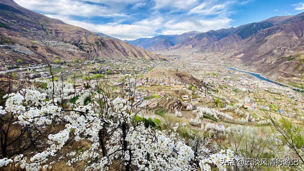 若要问3月的春天哪里zui 浪漫，我想，川西高原上，金川河谷里，那4万余亩旖旎绵