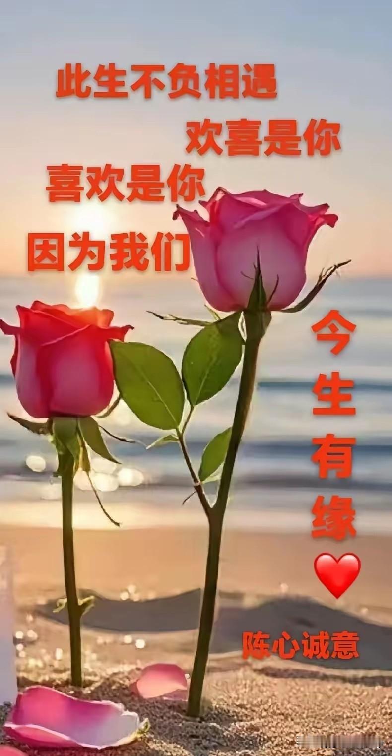 这世间的缘分
往往是这般的奇妙
哪怕是隔着千山万水
语音不同
肤色不同
但彼此间