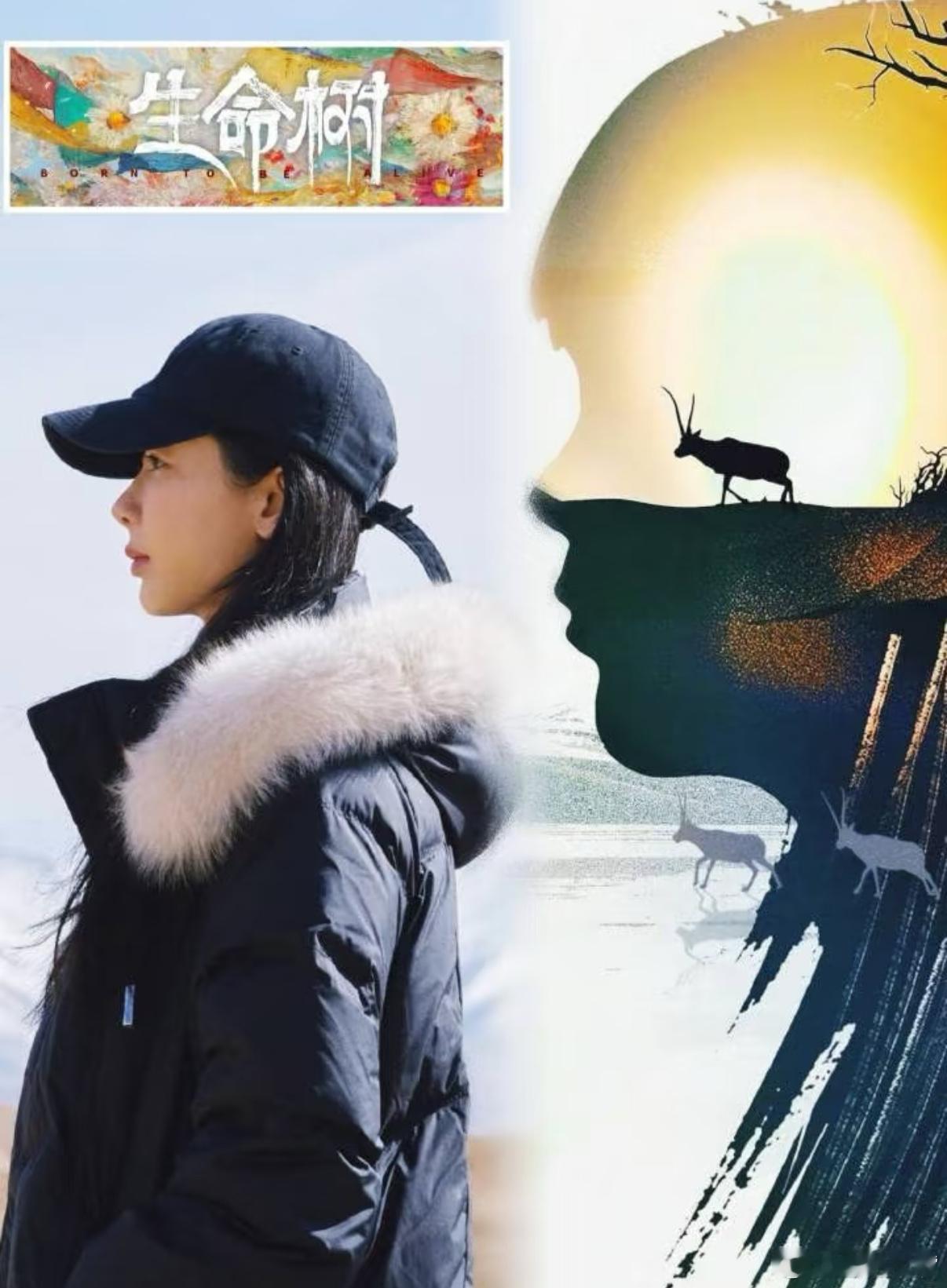 杨紫雪山开机图去年的《生命树》海报概念图女主和杨紫一模一样！说明去年就已经定了女