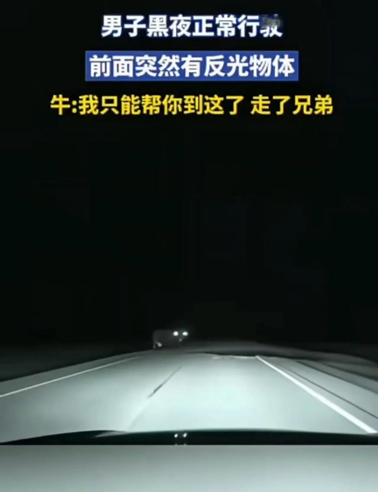 科学解释icon不了！”男子夜里开车，前面突然出现一个巨物，而且眼睛还会反光！男