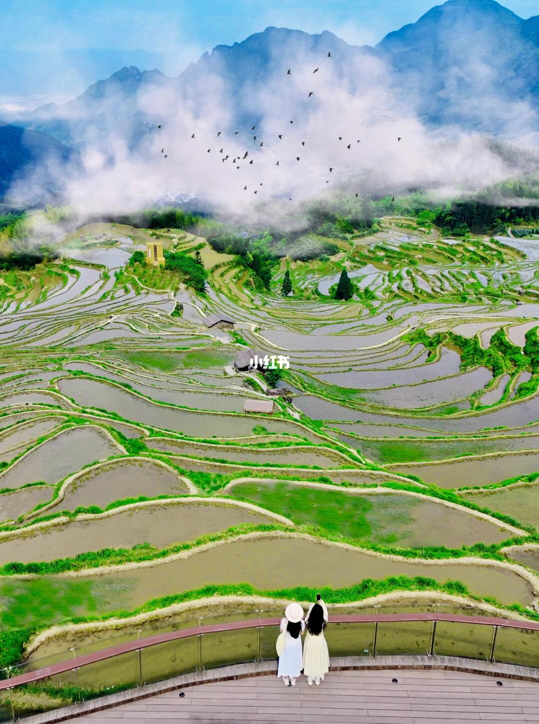 刚从云和梯田回来，说点真实感受（不懂就问！
