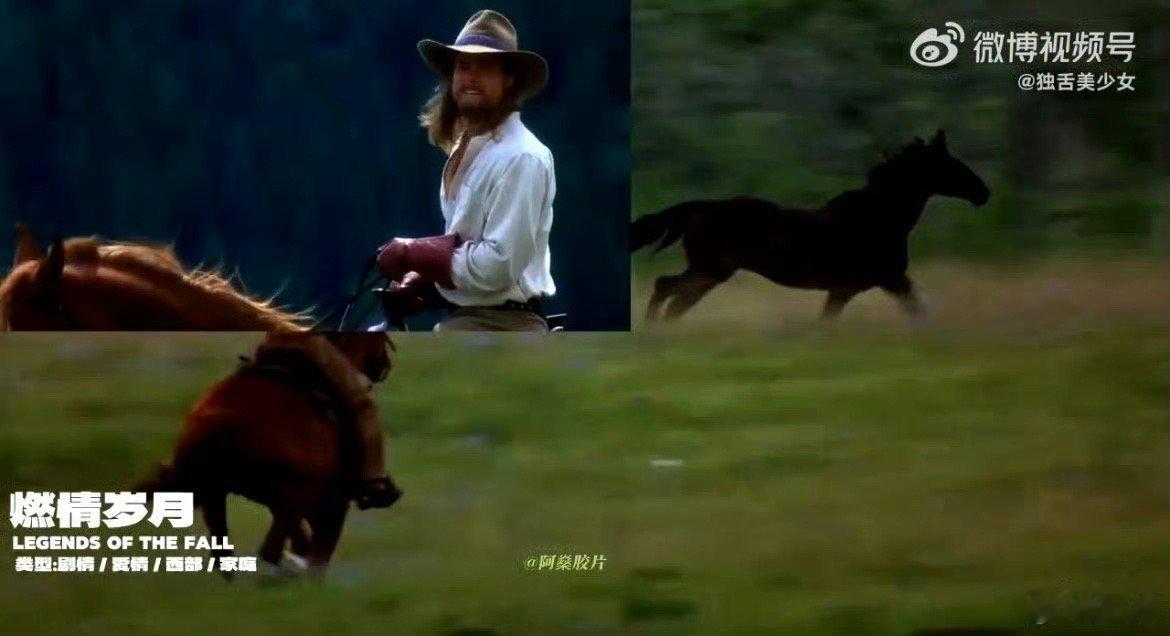 原来这些电影都是1994年的 1994年的电影，用故事证明：好作品从来不怕时间的