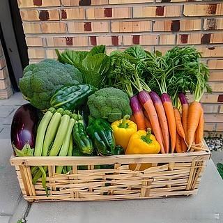 蔬菜 甲醛不少蔬菜自身会产生微量天然甲醛，正常清洗加热基本无害。需要警惕的是个别