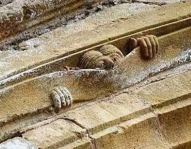 官方史料记载：武汉黄鹤楼于咸丰六年（1856）十二月毁于太平天国战火，同治七年（