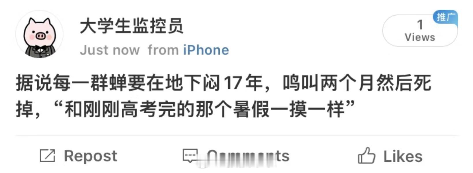 这个比喻我绷不住了，破防了 ​​​