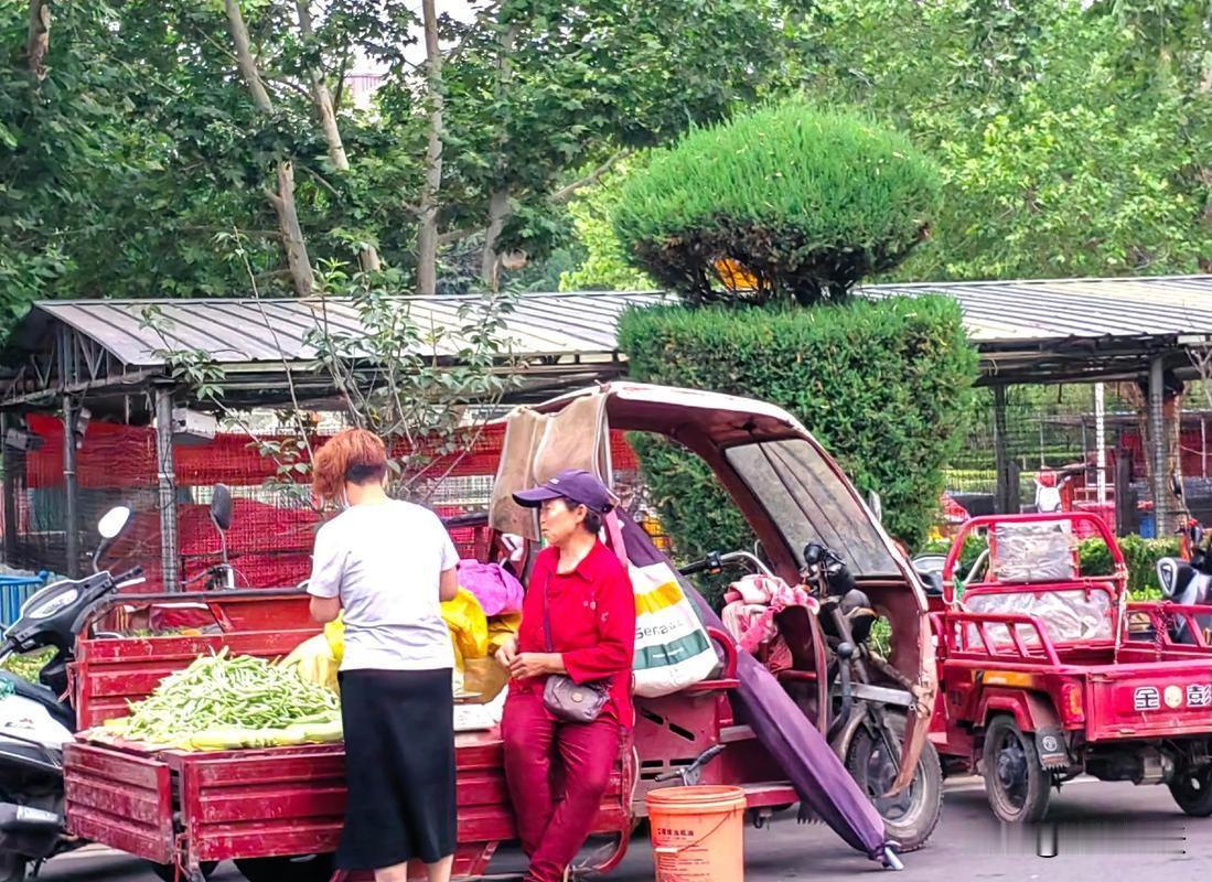 七律：马年自嘲
马蹄得得起风尘，
把酒行吟失意人。
曾是朱门离异客，
何堪陋室自