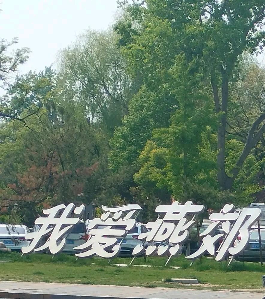 好消息：困扰大家已久的203住户，竟然是租房户，终于要搬走了。
昨天楼下中介频繁