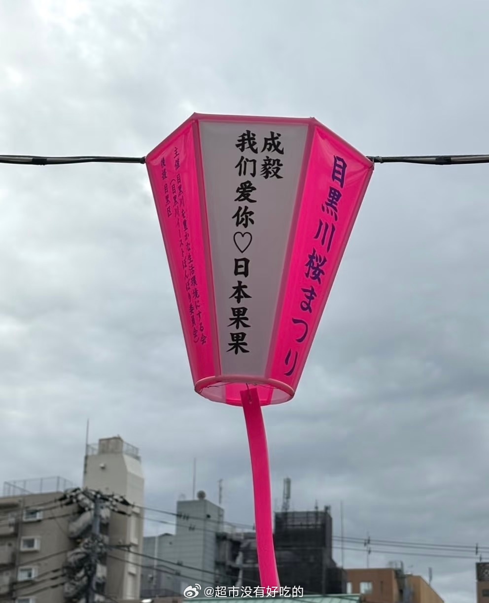 成毅粉丝准备的《两京十五日》目黑川樱花灯应援，好浪漫用心成毅永远幸福，期待《两京