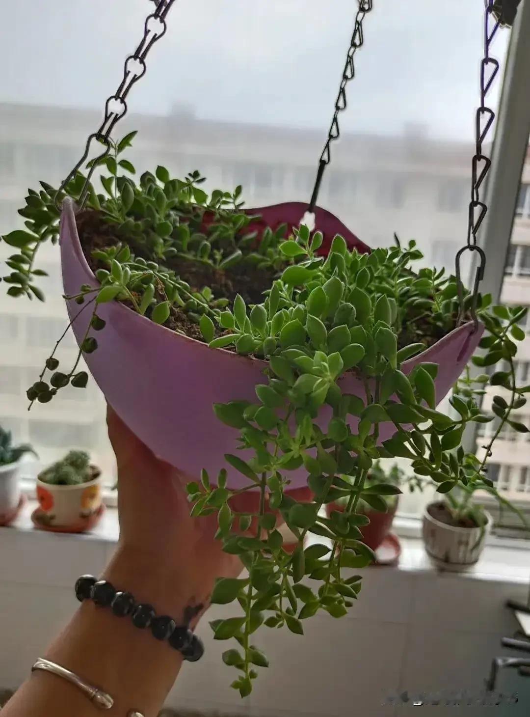 12月6日，今天是周末，带着小宝来看太太，心情说不出的沉，老妹和二妹去医大一给老