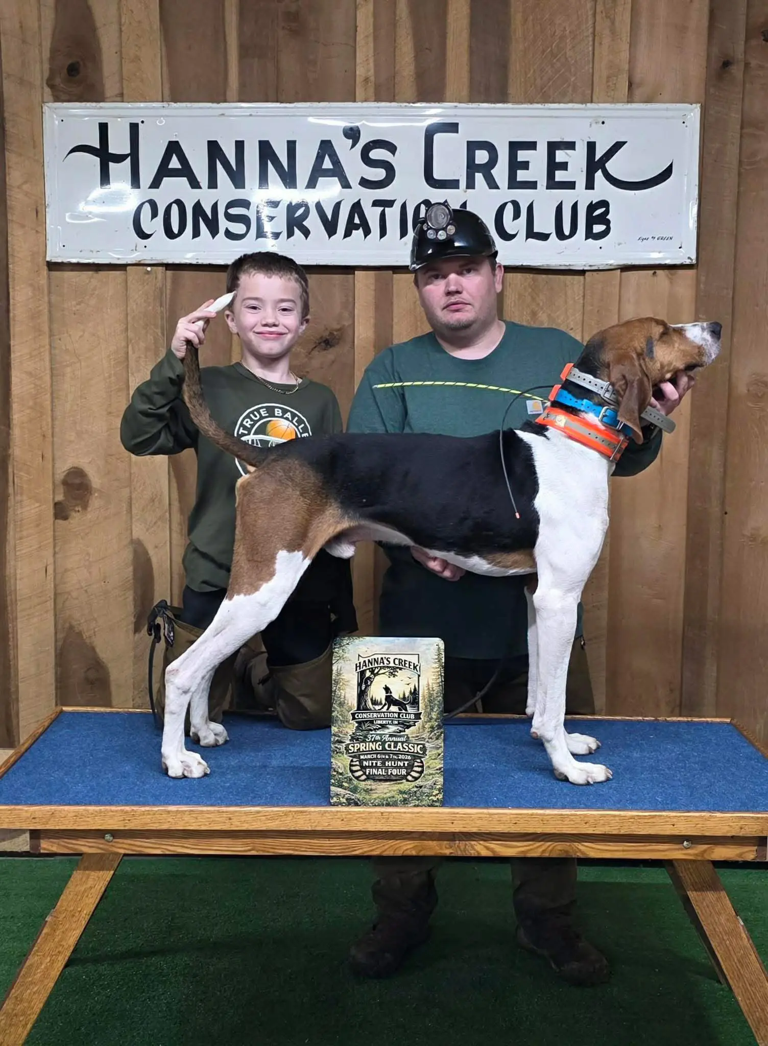 Treeing walker coonhound