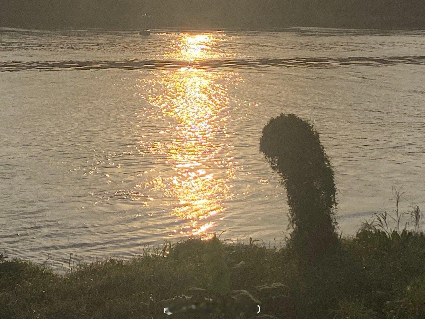 今天画的进度又不行……[无聊]…… ​​​