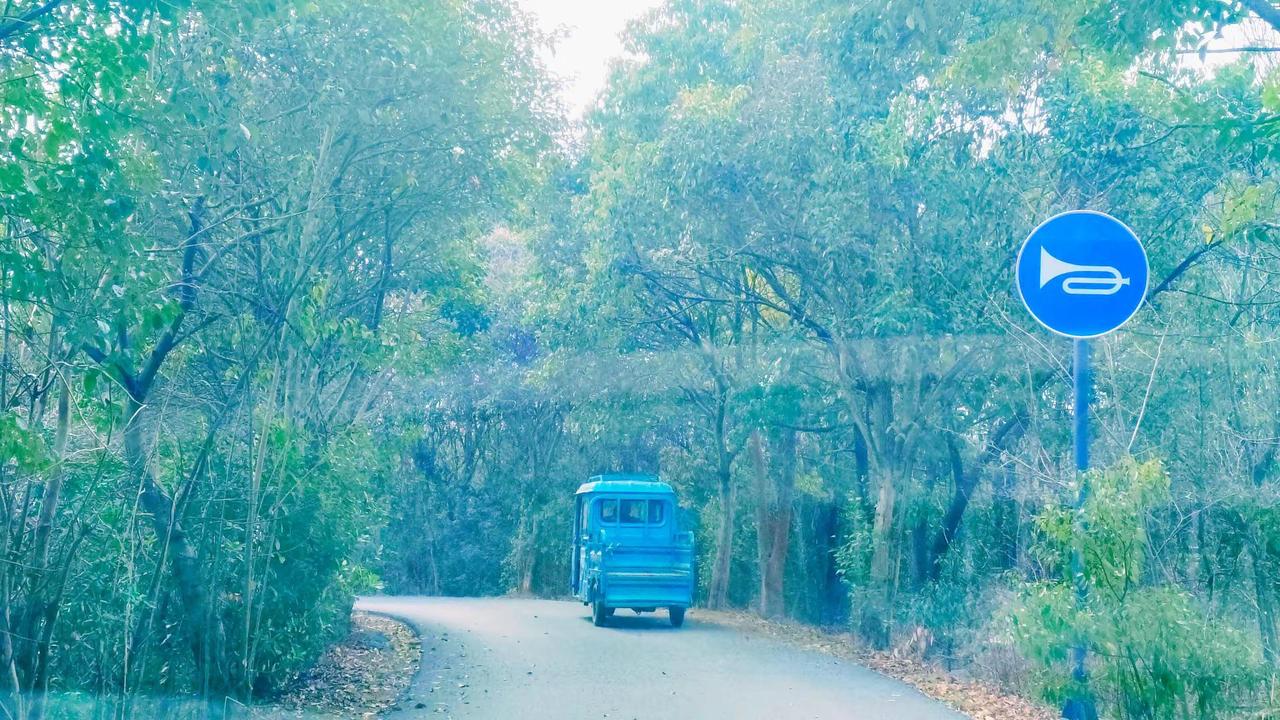 盼着明早的雪，也盼着老家的雪落满窗台。